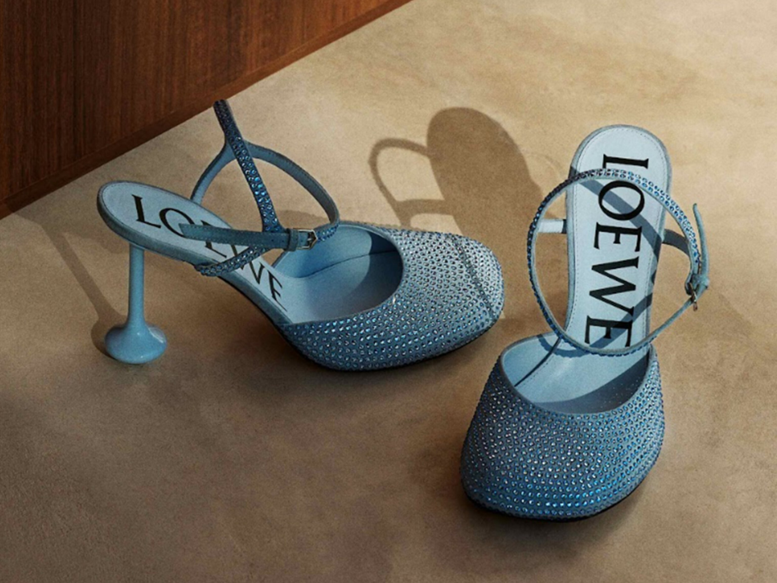 Loewe Shoes